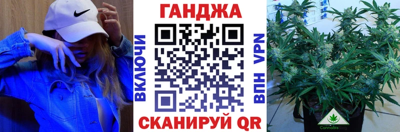 Марихуана сатива  Афипский 